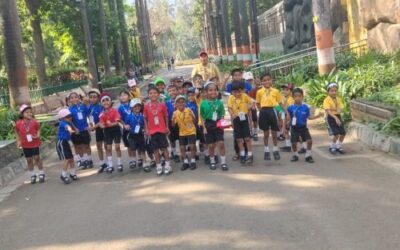 Pre Primary Picnic